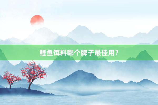 鲤鱼饵料哪个牌子最佳用？