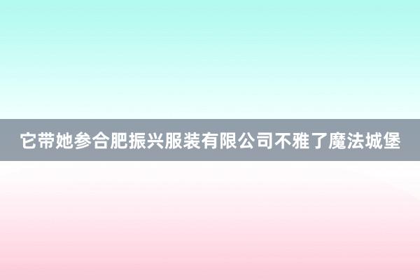 它带她参合肥振兴服装有限公司不雅了魔法城堡
